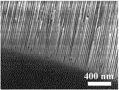 Method for removing cap layer in SiC nanostructure prepared by anodization