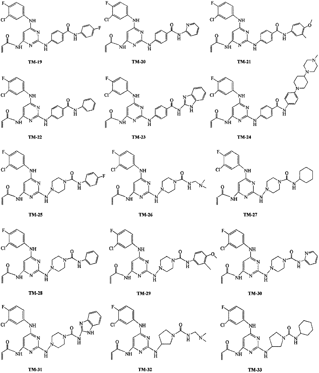 Amido pyrimidine compound