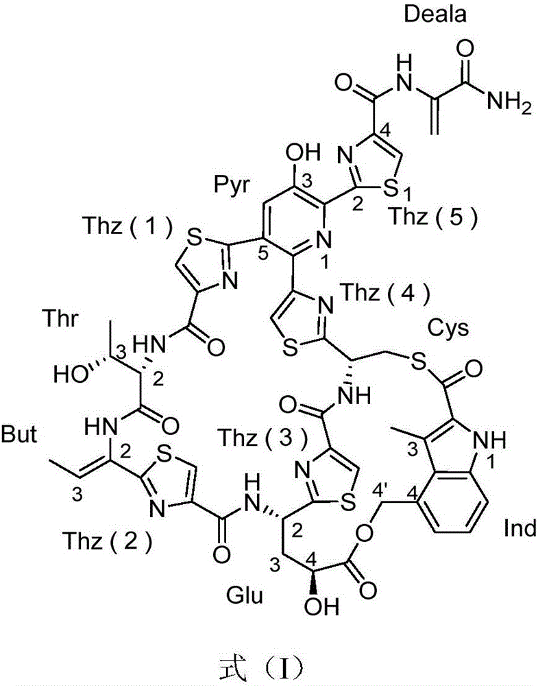 Marine Streptomyces sp. and application of Streptomyces sp. in preparation of nosiheptide