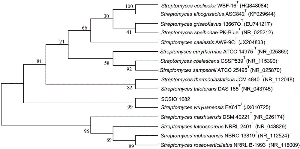 Marine Streptomyces sp. and application of Streptomyces sp. in preparation of nosiheptide