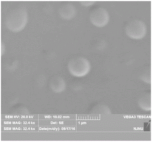 Preparation method of anti-tumor nanoparticle drug