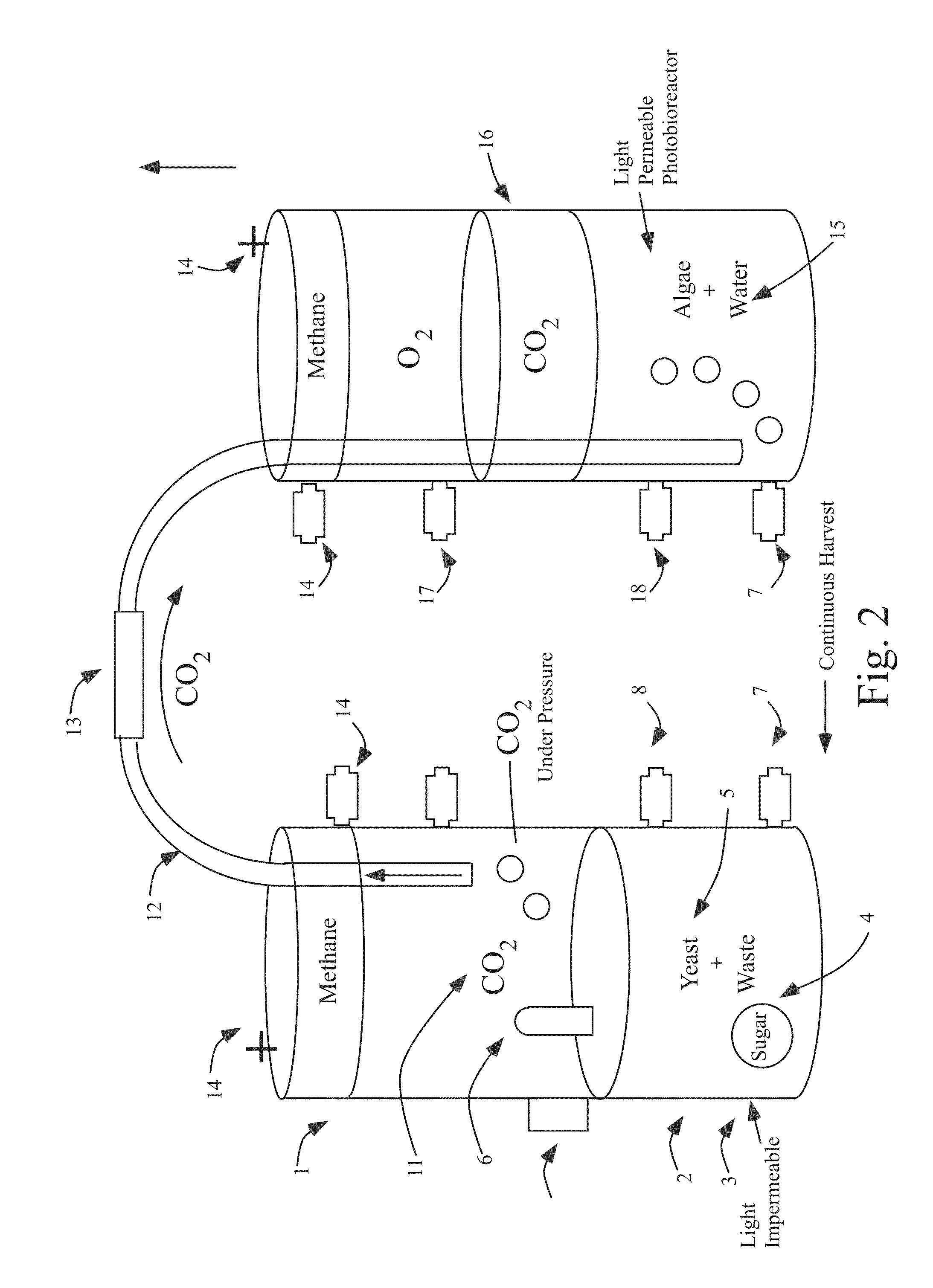 Systems and methods for production of algal biomass