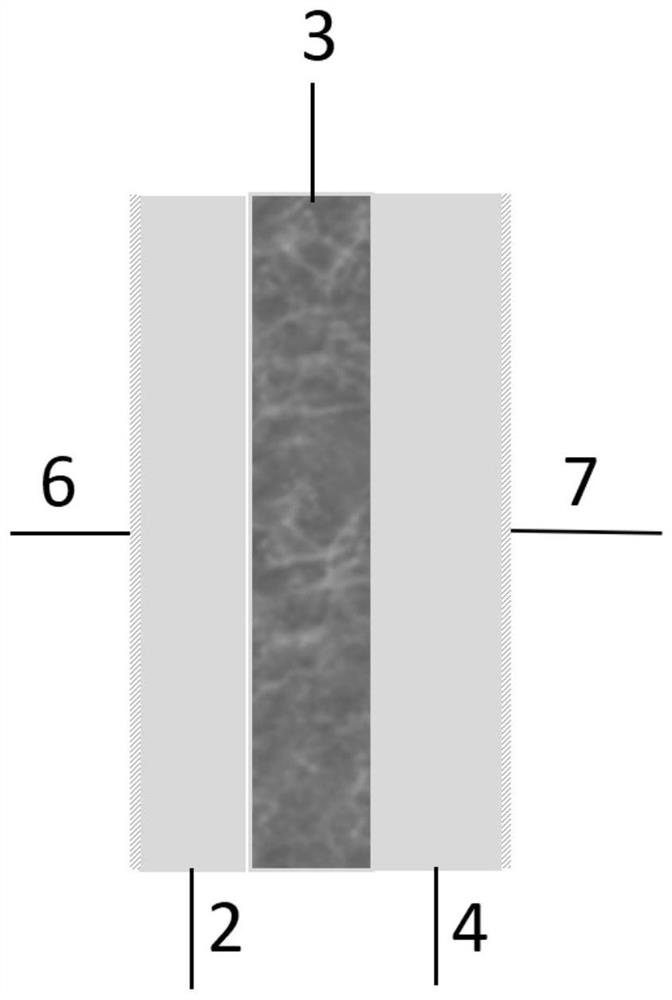 Double-layer straight tube heat exchange tube for liquid metal cooling reactor