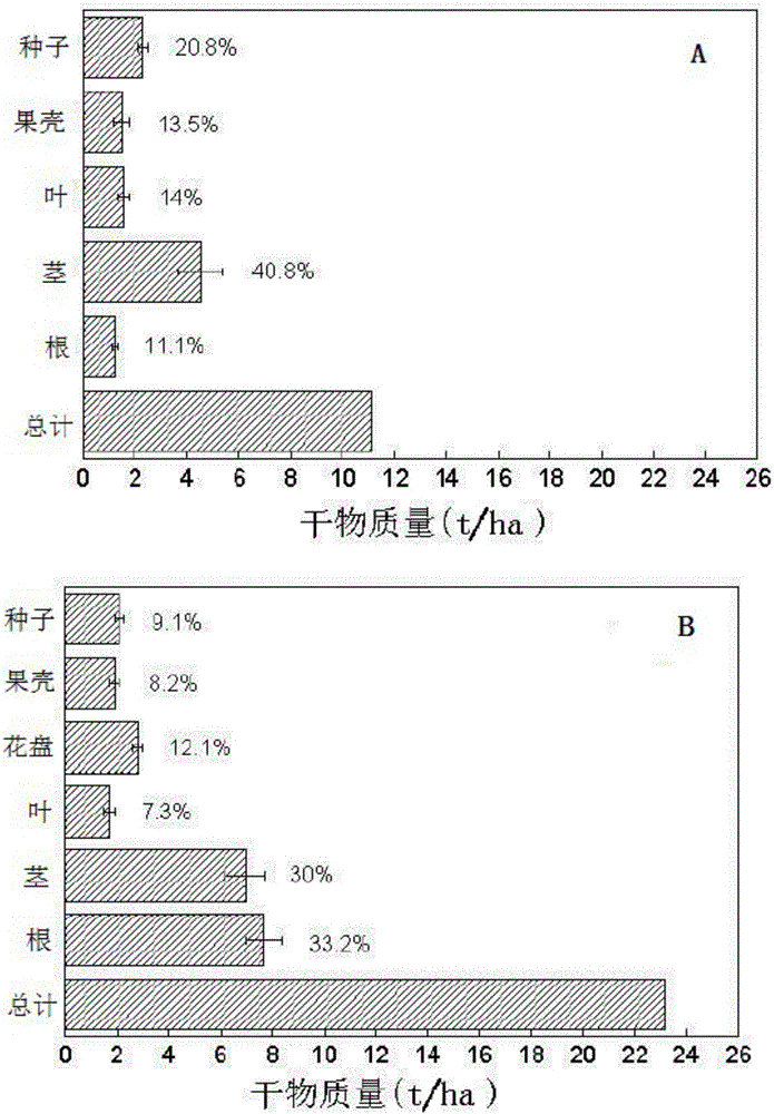 Method of repairing heavy metal polluted soil by using peanut-oil sunflower crop rotation mode