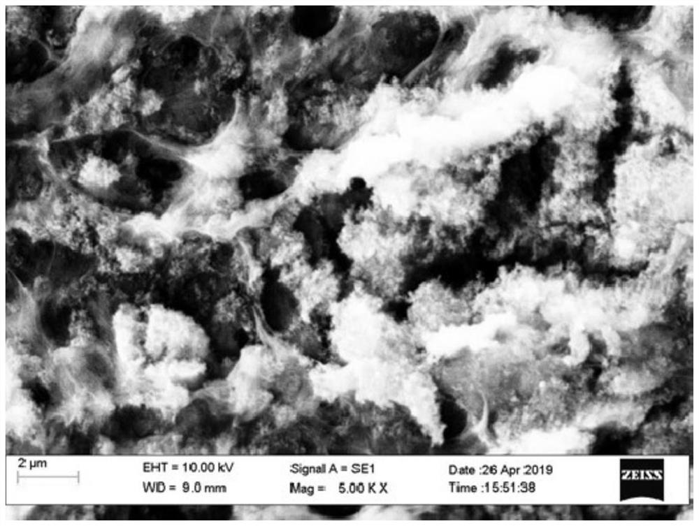 Para-aramid polymer, lithium battery diaphragm and preparation method thereof, and lithium battery