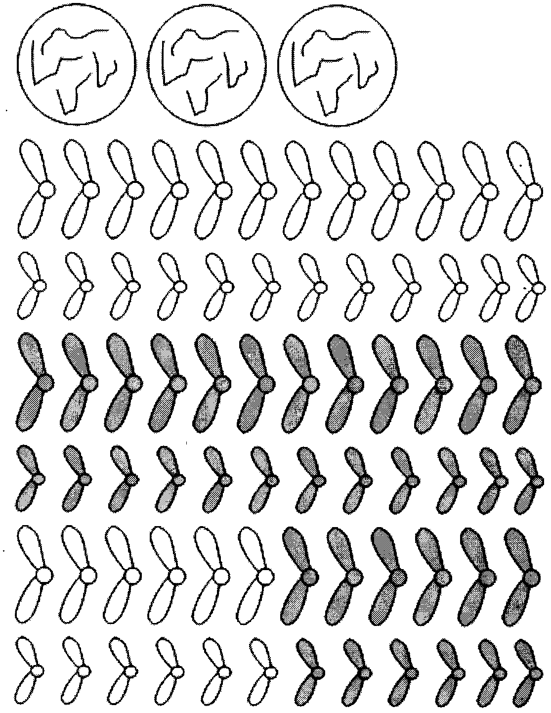 Cell division chromosome model jigsaw teaching aid
