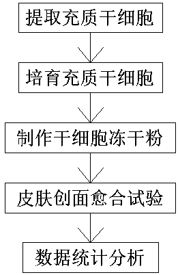 Research method for repairing skin by preparing stem cell lyophilized powder