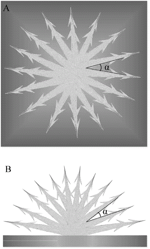 Substrate material coated with polymer needled tufts of natural-Opuntia-microdasys-plant-like structure