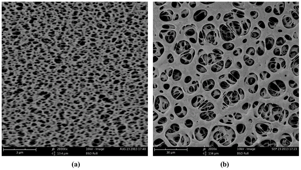A kind of superhydrophilic gradient hole hollow fiber membrane and its preparation method