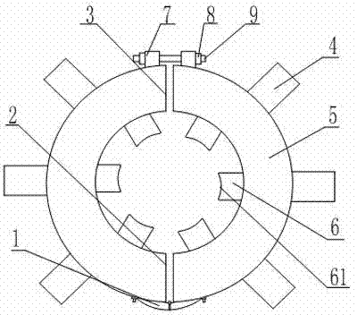 Clamping device for fixing