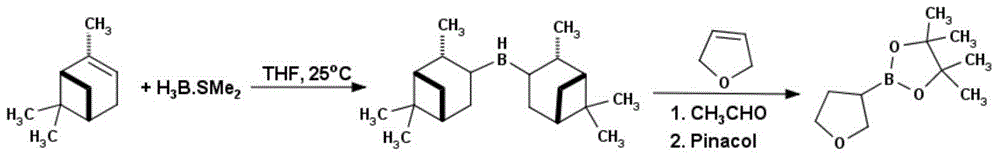 Method for preparing tetrahydrofuran-3-boric acid pinacol ester