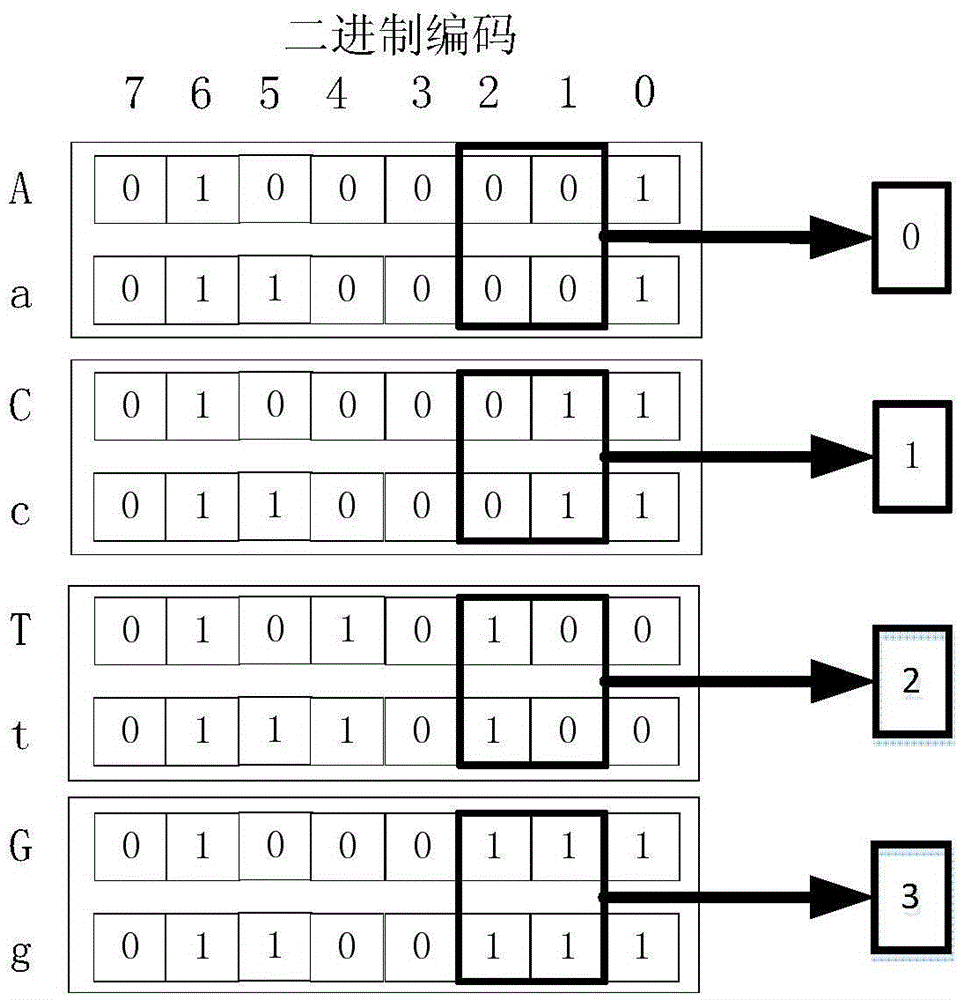 Encoding method for rapidly encoding gene character sequence into binary sequence