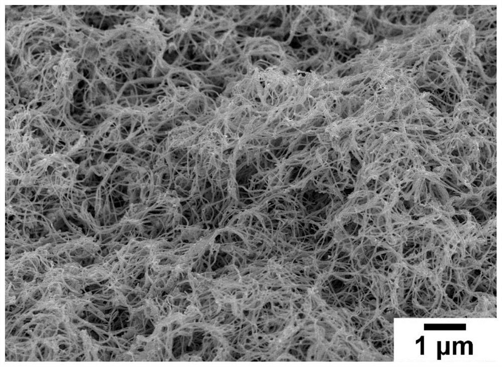 Preparation method and application of Au-coated Pd core-shell structure ultra-long nanowire in water phase