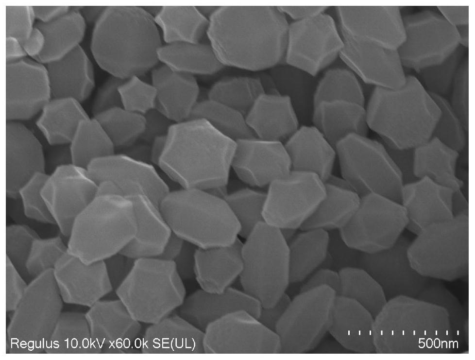 Pesticide nano drug-loaded particle framework material as well as preparation method and application thereof