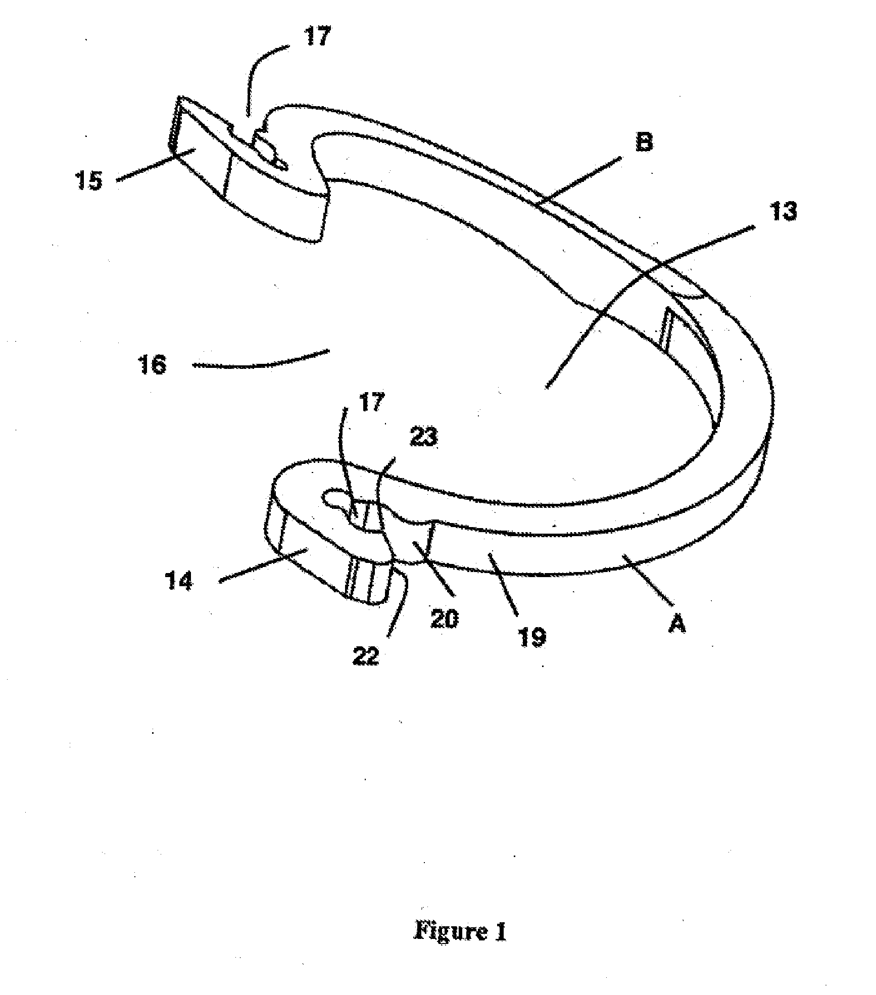 Device for fastening and holding a creeping plant along a carrying wire