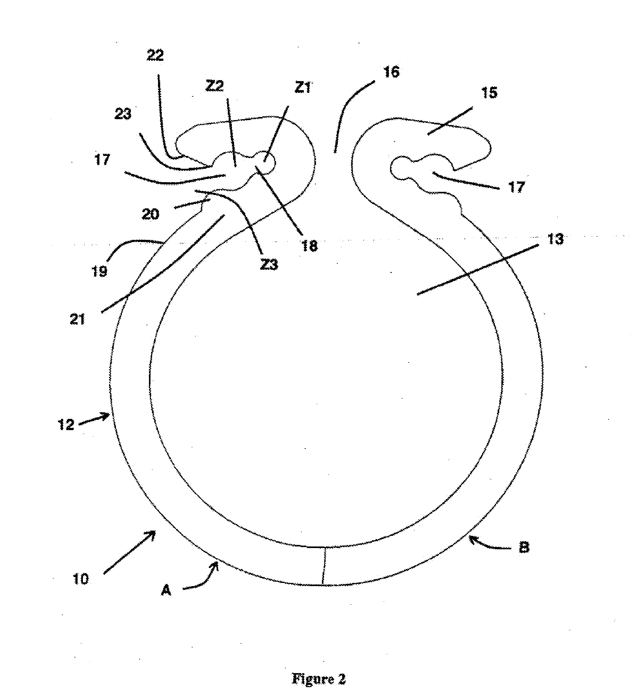Device for fastening and holding a creeping plant along a carrying wire
