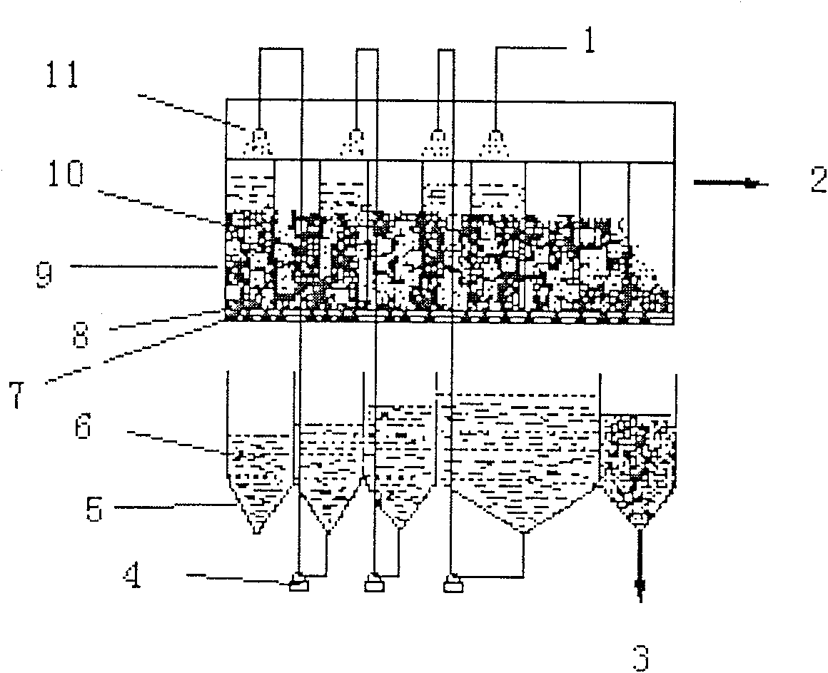 Process for extracting capsaicin crystal from dry capsium