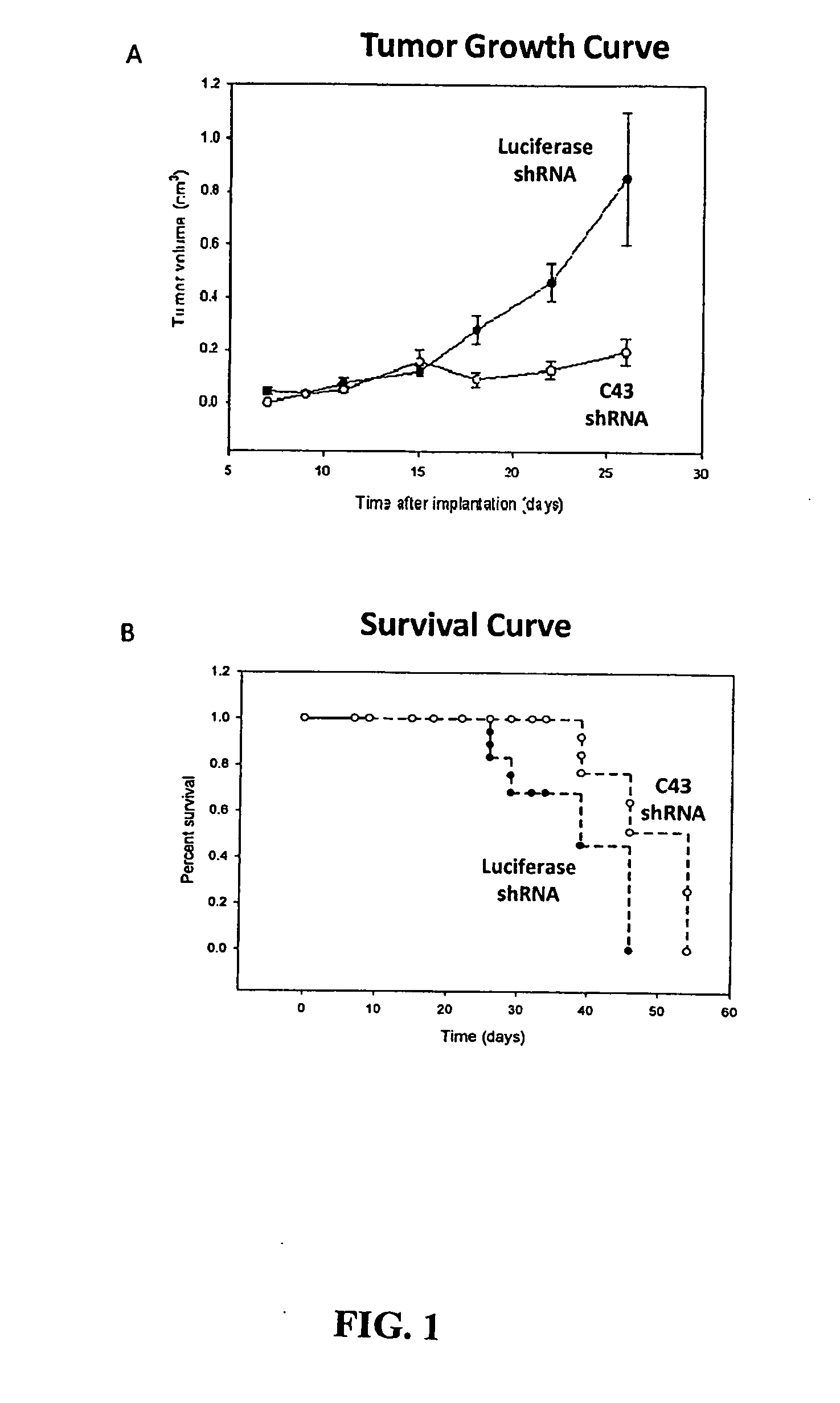 Methods and compositions for the diagnosis and treatment of cancer