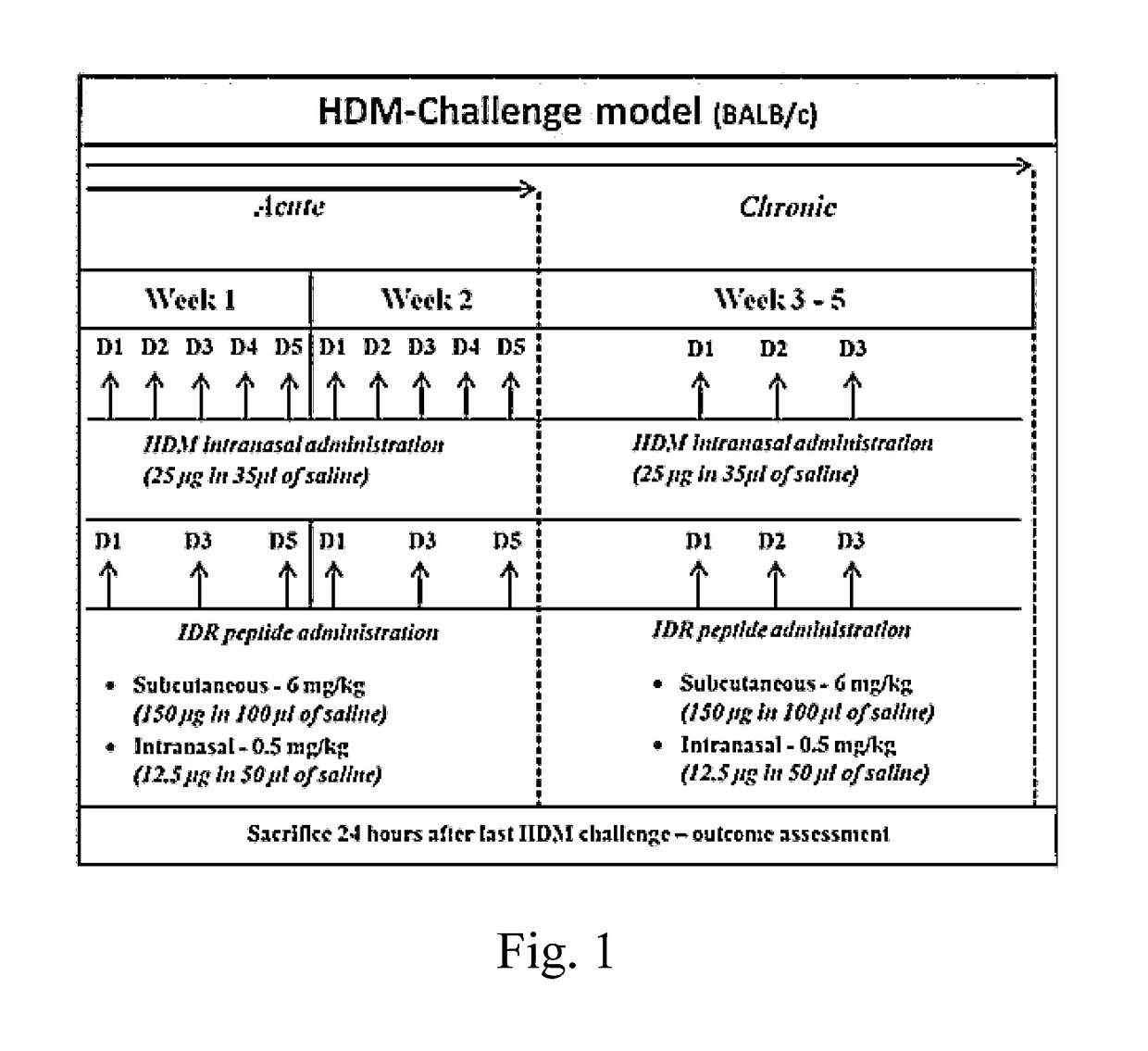 Idr peptide compositions and use thereof for treatment of th2-dysregulated inflammatory conditions