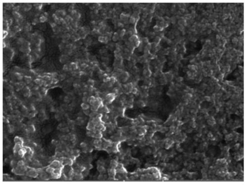 Polyethyleneimine imprinted polymer probe and its preparation method and application