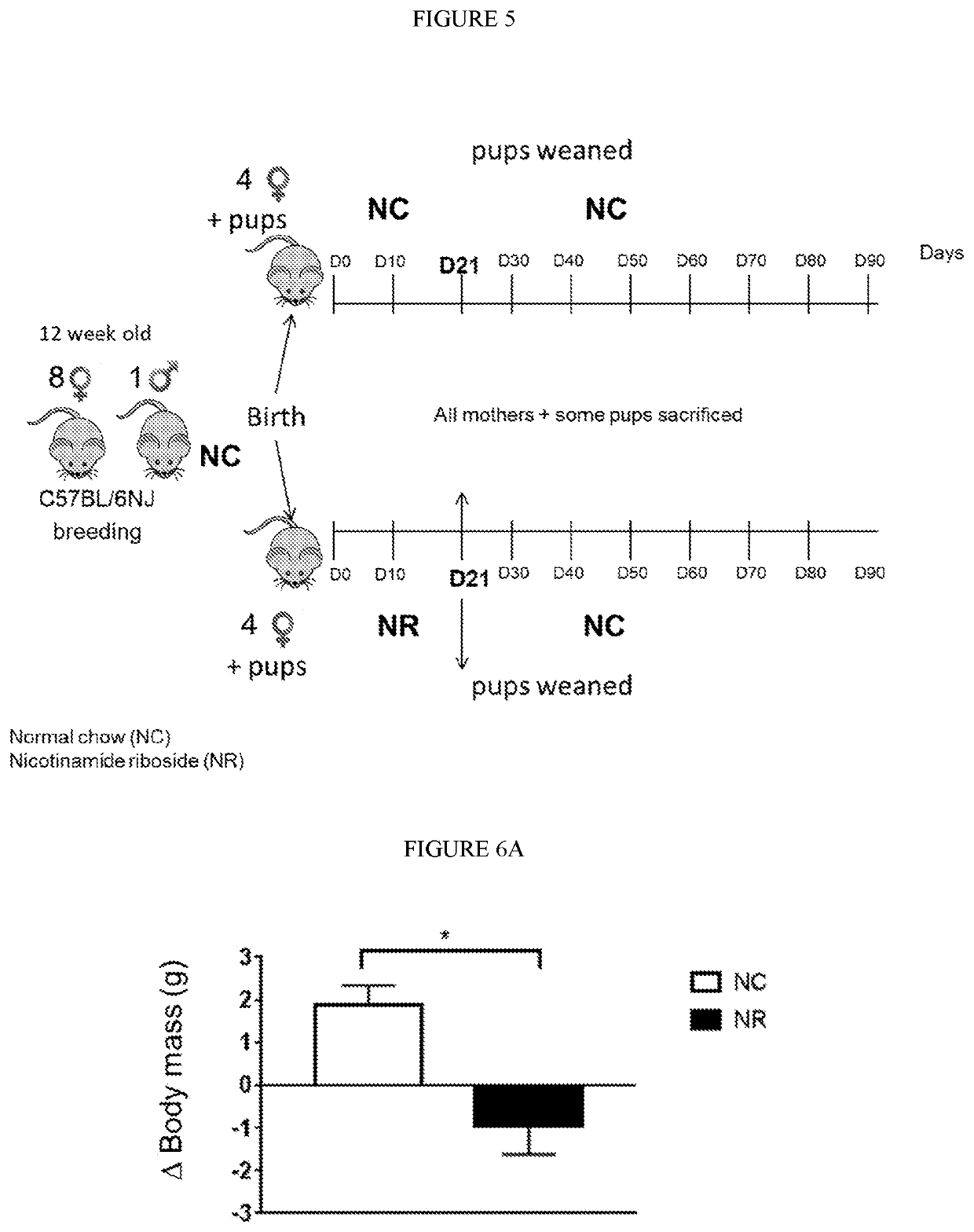 Use of nad precursors for improving maternal health and/or offspring health