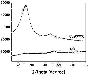 Carbon fiber supported CoWP catalyst and preparation method