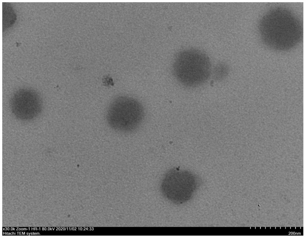 Polyselenoamino acid amphiphilic block copolymer targeting glucose transporter 1 as well as preparation method and application thereof