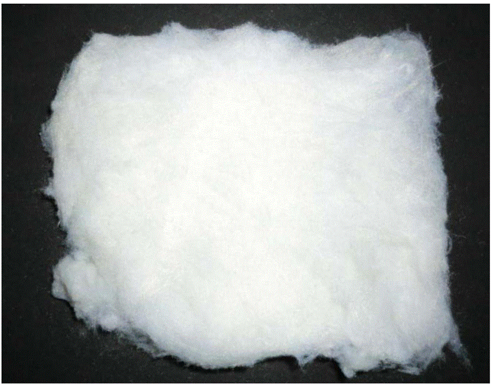 Preparation method of tin oxide fiber precursor and tin oxide crystal fibers