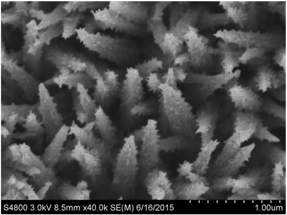 Preparation method for NiCo2S4@NiCo2O4 nanoneedle composite catalytic electrode with core-shell structure