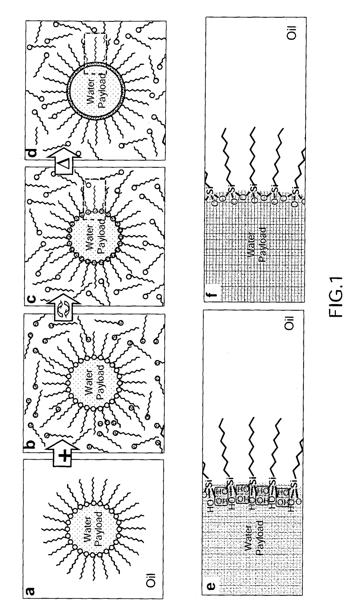 Two-dimensional polymeric structures and method for producing thereof