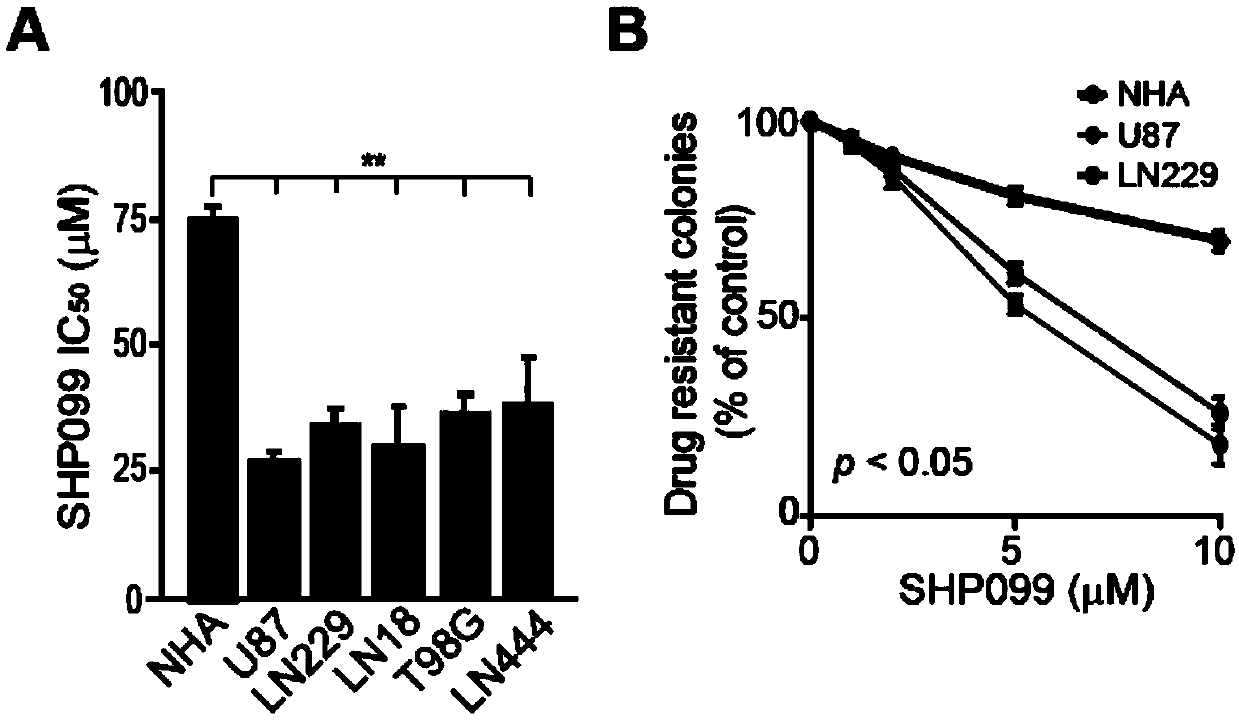 Application of SHP-2 inhibitor in preparing medicament for targeting proneuronal glioma