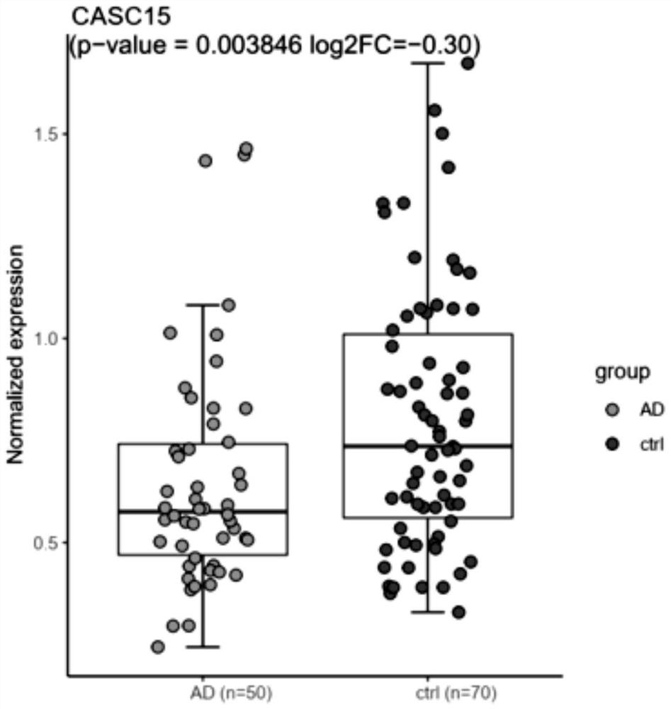 Application of exosome mediated RNA CASC15 in intervention of synaptic loss of Alzheimer's disease