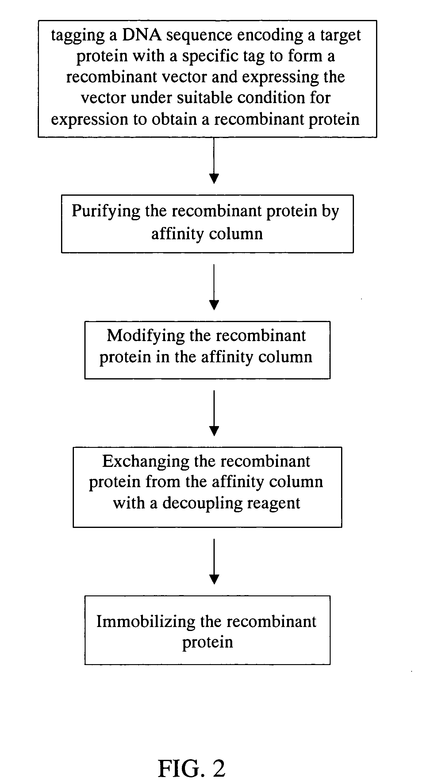 Method for purification, modification and immobilization of recombinant protein