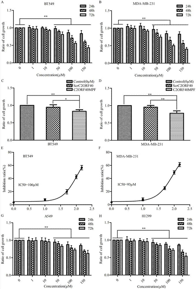 Application of polypeptide C2ORF40MPF in preparing antitumor drugs