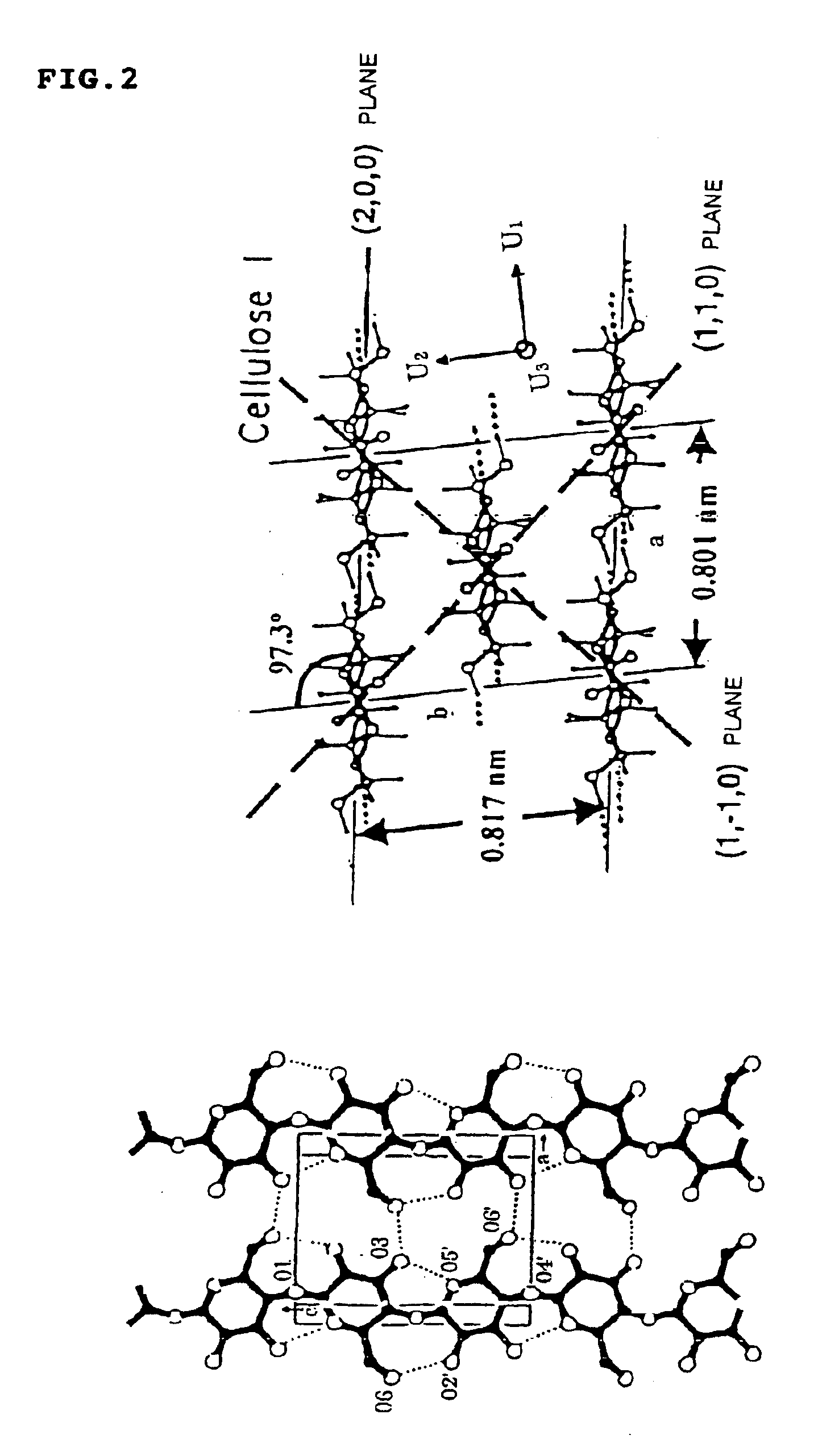 Method for forming cellulose