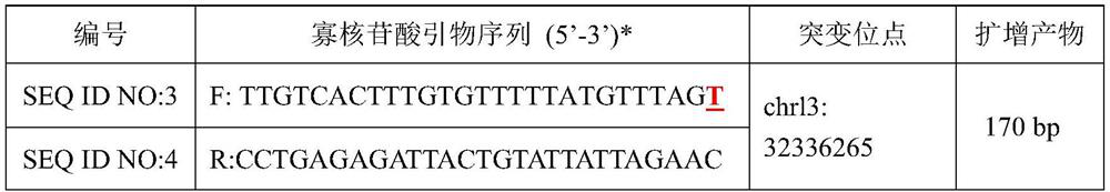 Detection of a breast cancer related gene brca2 locus g.32336265g&gt;t mutant