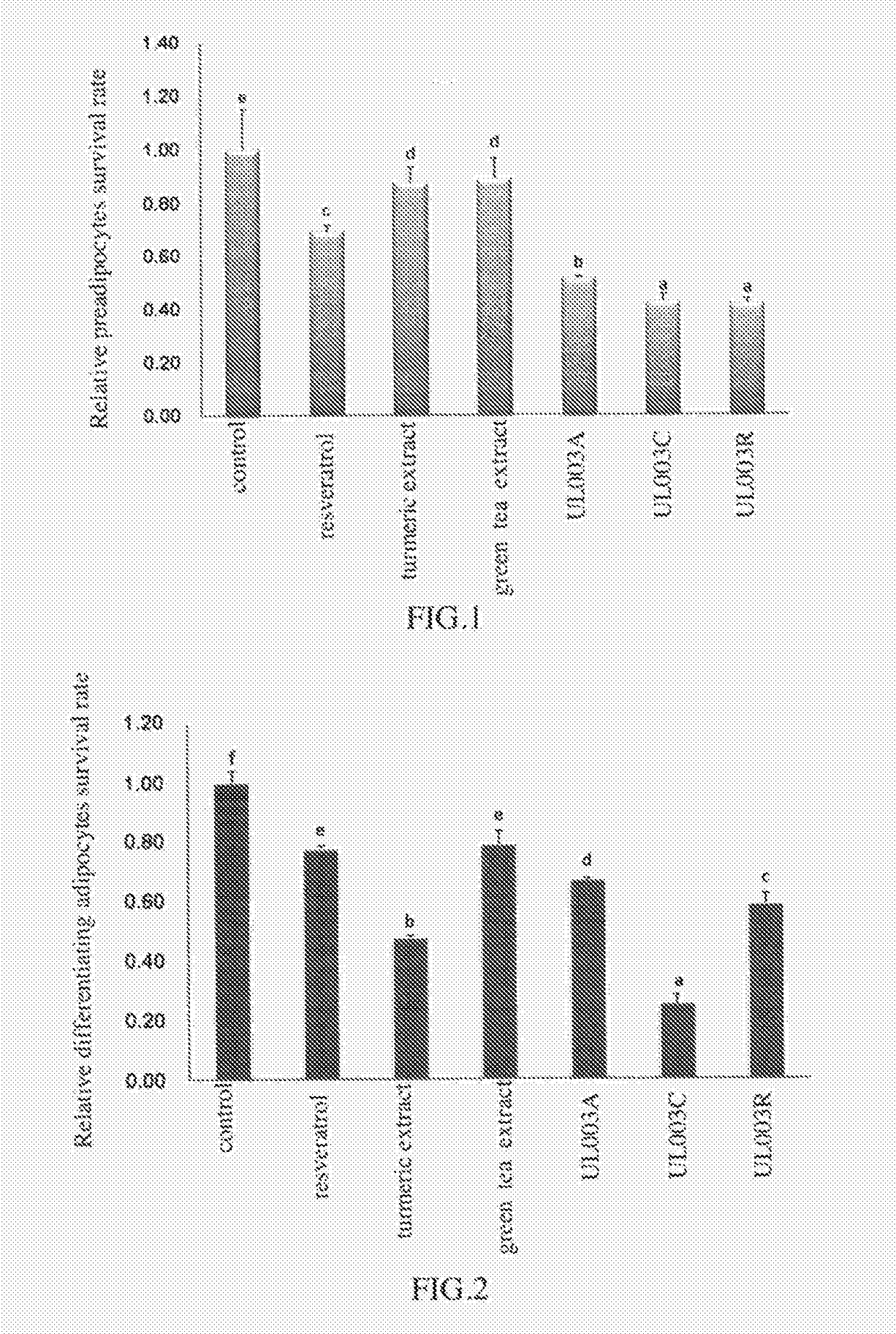 Plant extract composition for reducing topical fat and promoting weight loss as well as application thereof