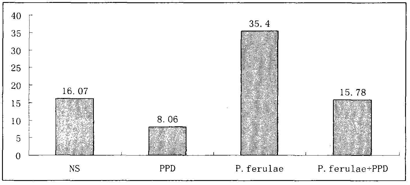 Medical applications and preparation methods of Pleurotus ferulae Lanzi polysaccharide and composites thereof