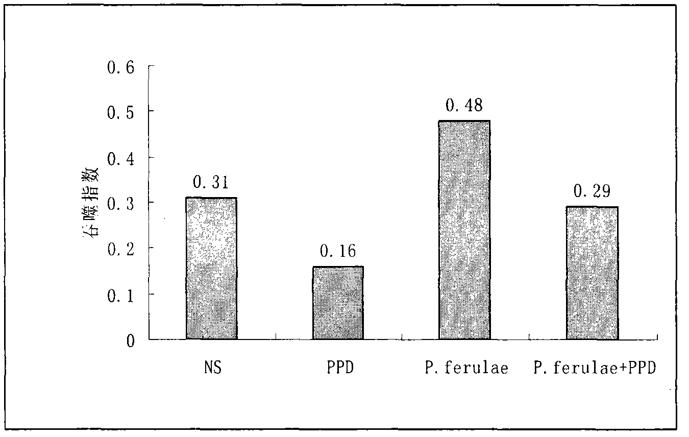 Medical applications and preparation methods of Pleurotus ferulae Lanzi polysaccharide and composites thereof