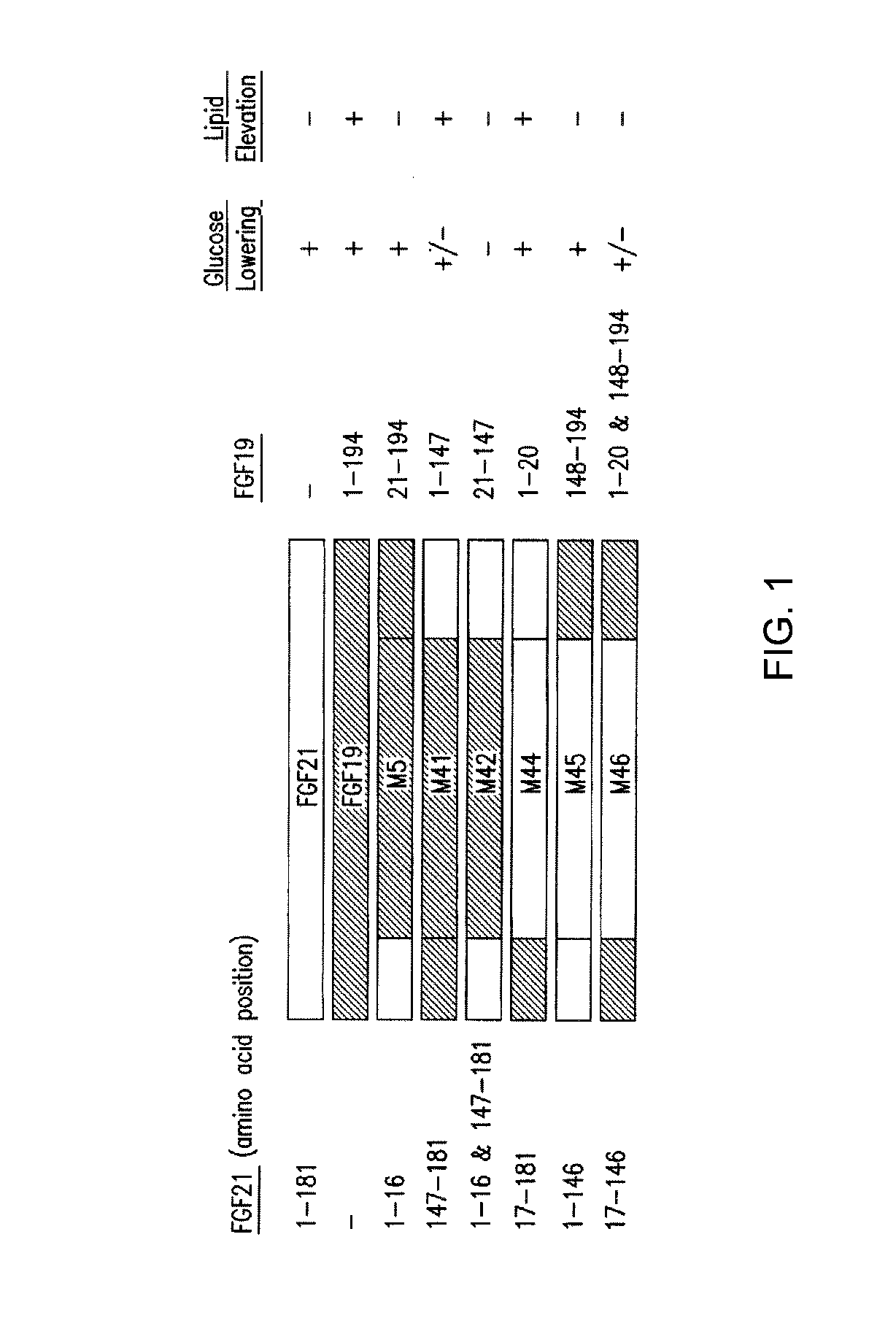 Compositions comprising variants and fusions of FGF19 polypeptides