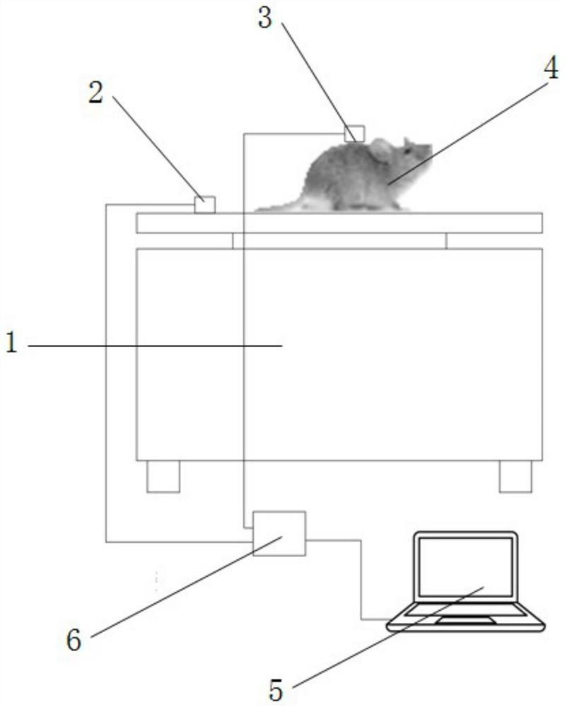 A three-dimensional vibration training method for animals and a method for selecting frequency parameters