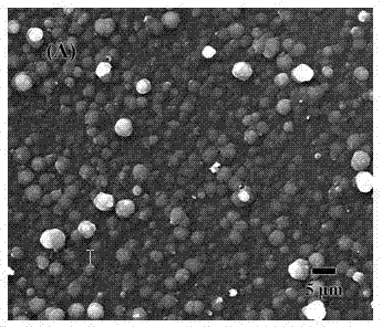 Preparation method for electroactive polypyrrole film