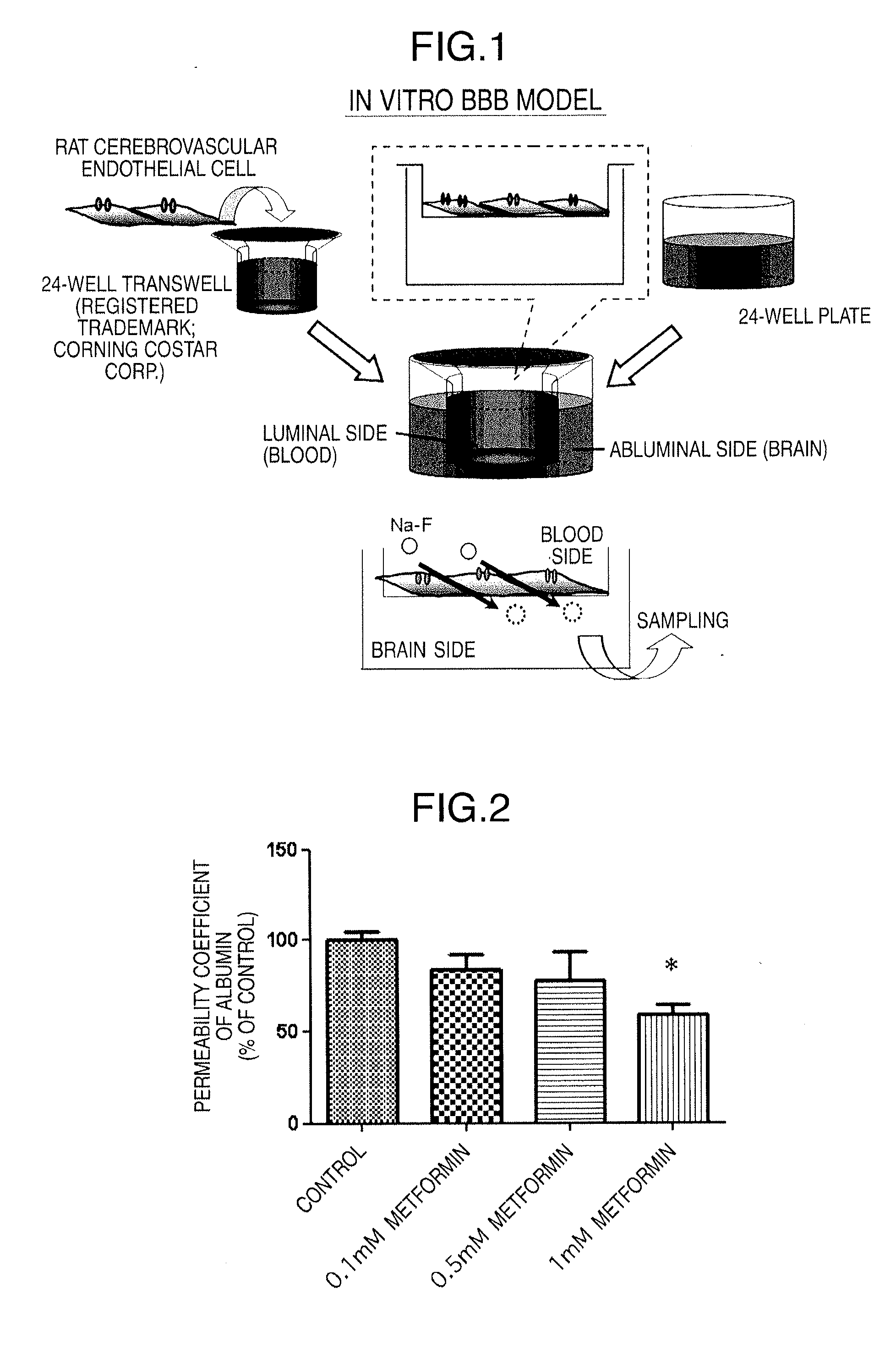 Therapeutic agent for blood-brain barrier disruption syndrome