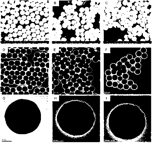 Preparation method of core-shell molecular imprinting nano-material, and application of nano-material