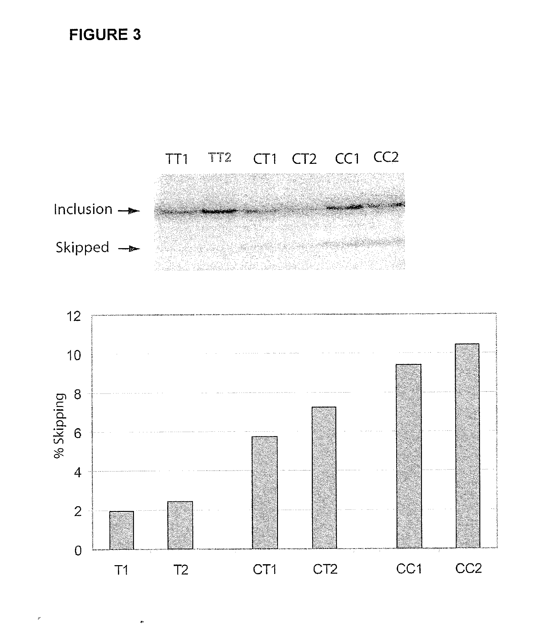 Methods and compositions for correlating genetic markers with multiple sclerosis