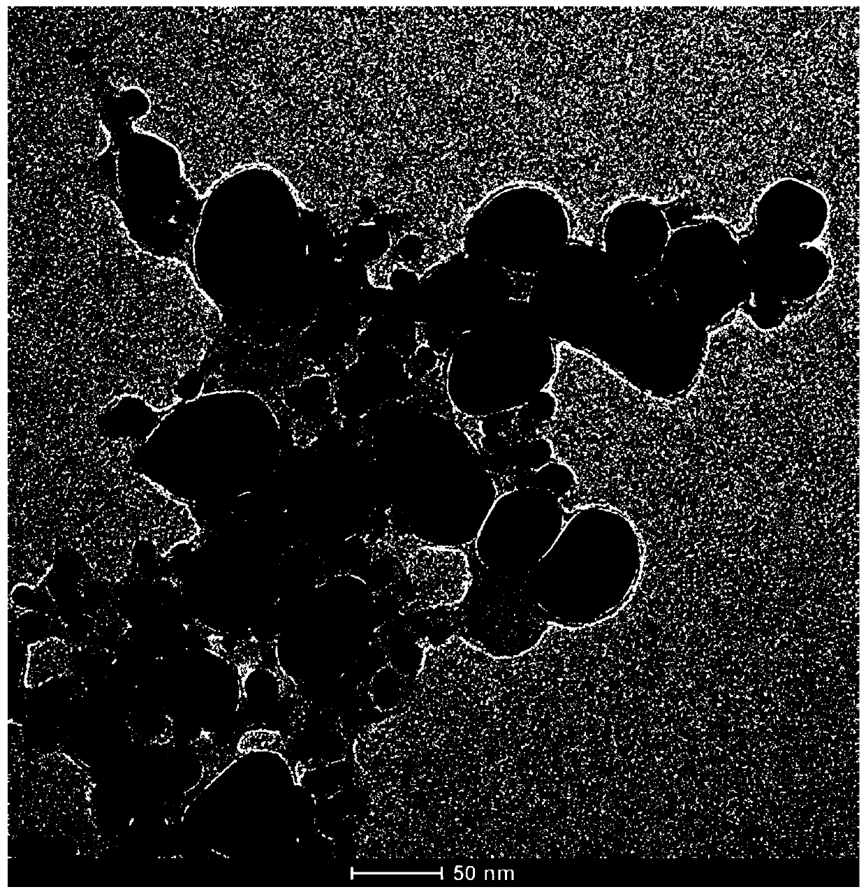 Method for biosynthesis of silver nanoparticles through glochidion eriocarpum champ and application