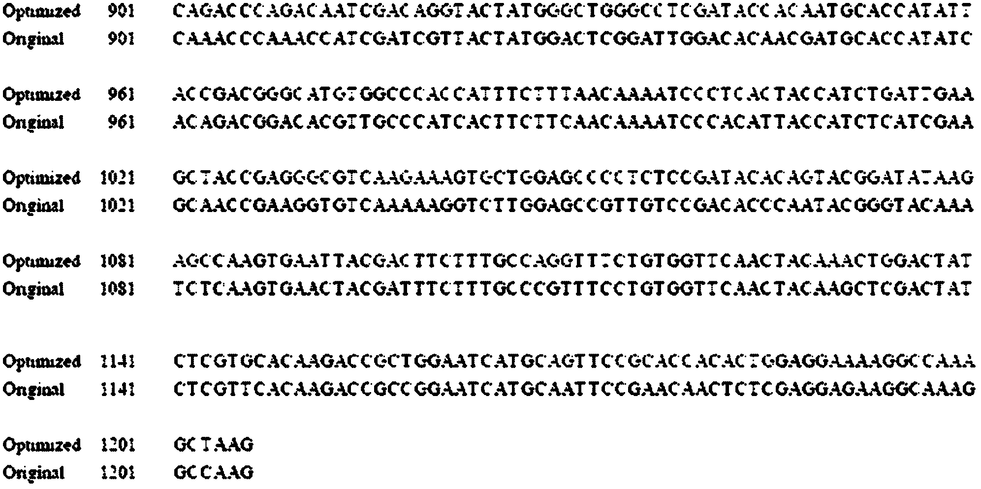 Codon optimized fatty acid desaturase gene sequence and application thereof