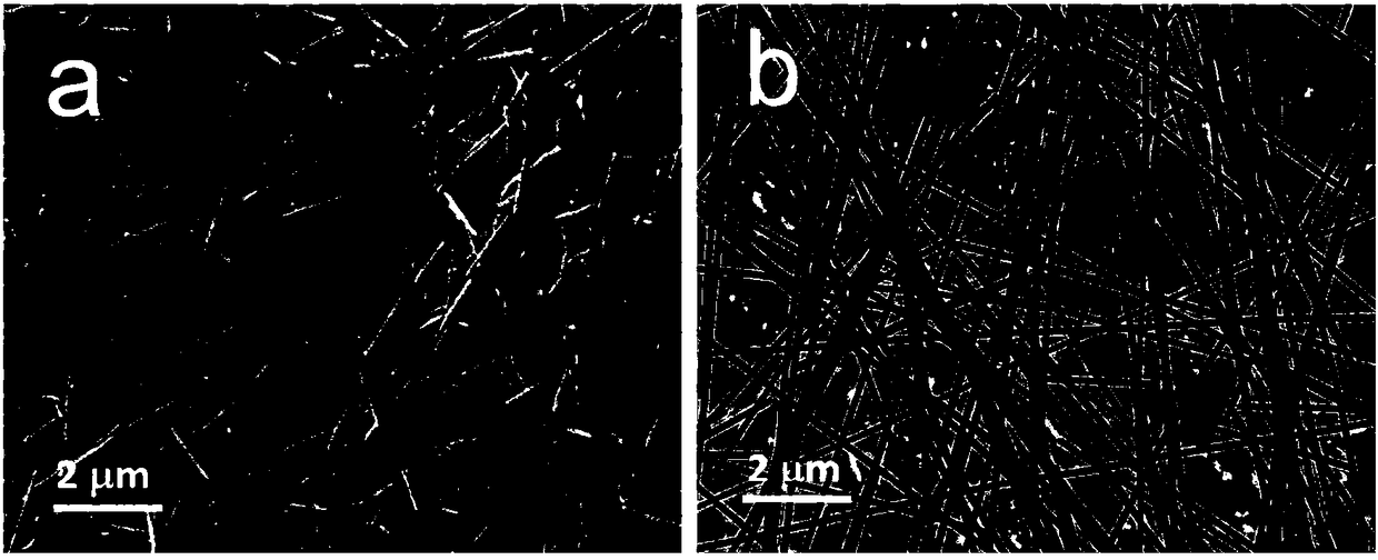 Preparation method of nitrogen-doped carbon-coated zinc telluride nanometer wire and application thereof serving as sodium-ion battery negative electrode material