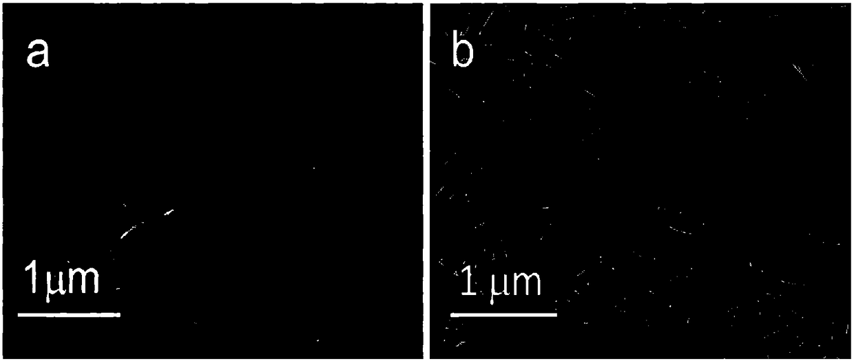 Preparation method of nitrogen-doped carbon-coated zinc telluride nanometer wire and application thereof serving as sodium-ion battery negative electrode material