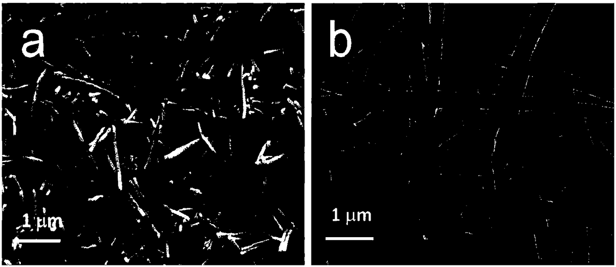 Preparation method of nitrogen-doped carbon-coated zinc telluride nanometer wire and application thereof serving as sodium-ion battery negative electrode material